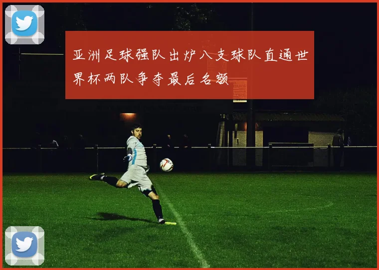 亚洲足球强队出炉八支球队直通世界杯两队争夺最后名额