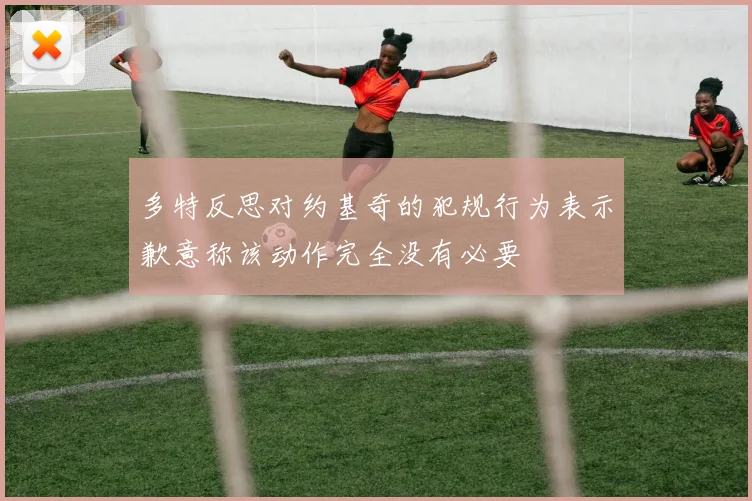 多特反思对约基奇的犯规行为表示歉意称该动作完全没有必要