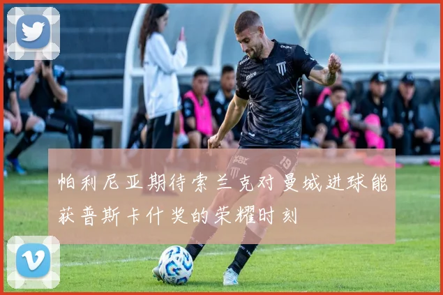 帕利尼亚期待索兰克对曼城进球能获普斯卡什奖的荣耀时刻