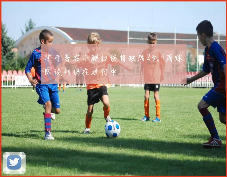 字母哥右小腿拉伤将缺席2到4周球队谈判仍在进行中
