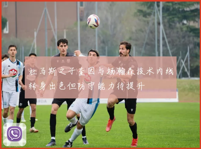 杜马斯之子奎因与杨瀚森技术内线转身出色但防守能力待提升