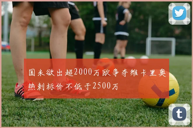 国米欲出超2000万欧争夺维卡里奥热刺标价不低于2500万