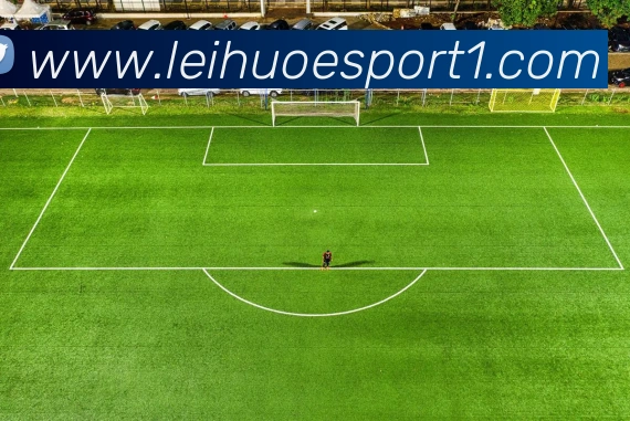 雷火电竞平台生态图