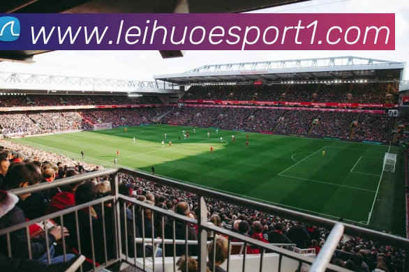 雷火电竞APP 封面图